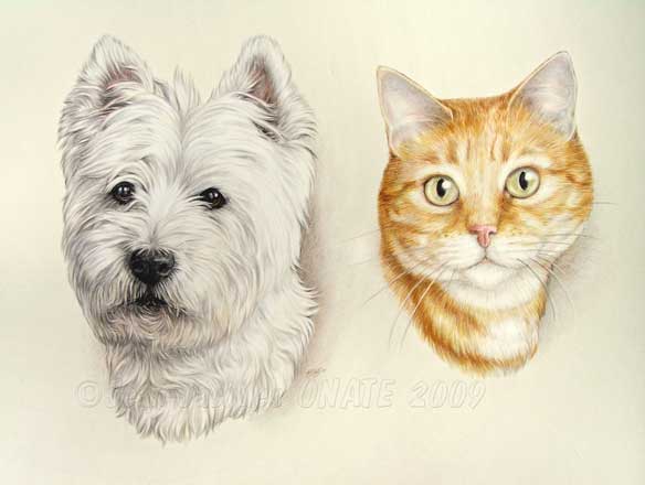 Portrait du Chien Westie Scotty et Fripon